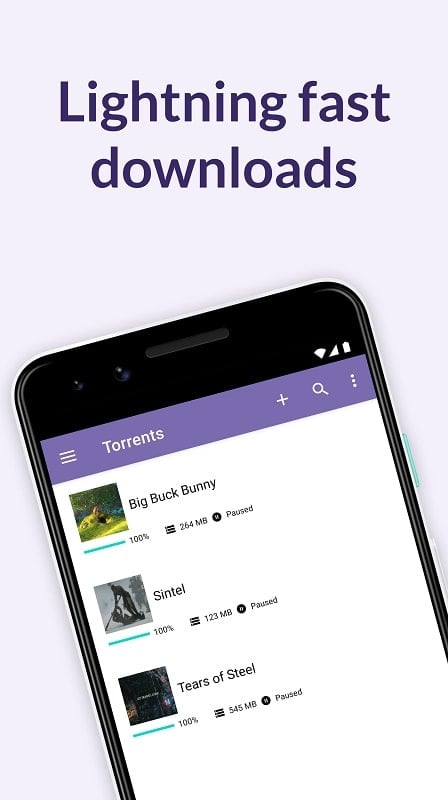 BitTorrent Pro 8.2.29 (N/A)