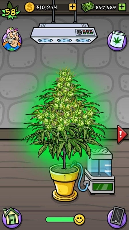 Bud Farm: Grass Roots 30.0.16 (Unlimited money, items)