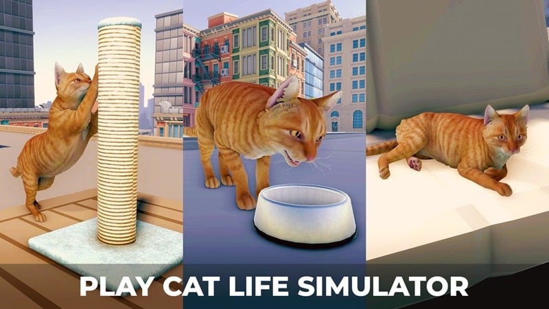Catâ€™s Metropolis Adventure 1.2 (Free Rewards)