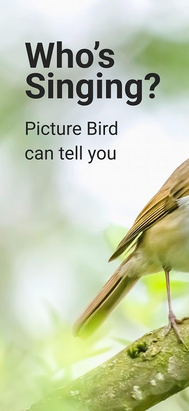 Picture Bird 2.9.32 (Unlocked Premium)