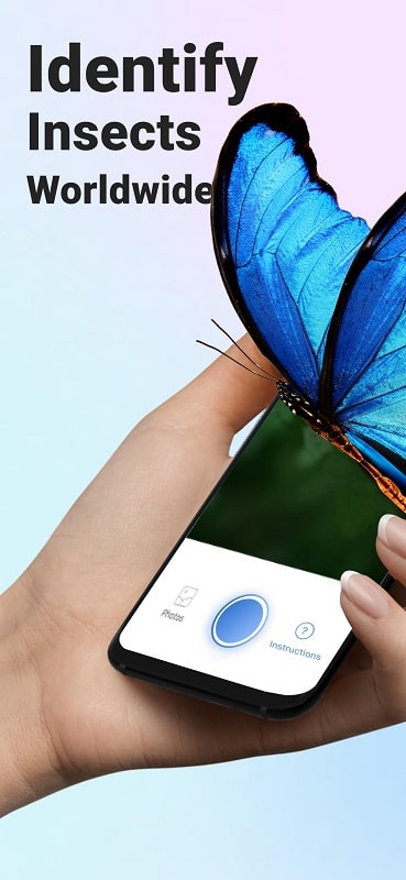 Picture Insect: Bug Identifier 2.8.33 (Unlocked Premium)