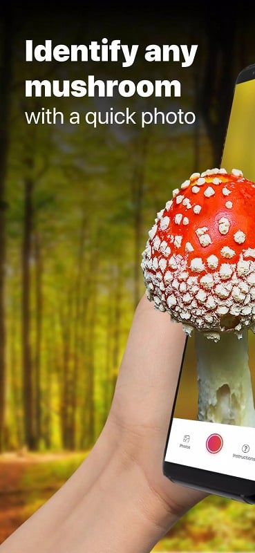 Picture Mushroom 2.9.31 (Premium unlocked)