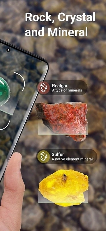 Rock Identifier: Stone ID 2.3.50 (Unlocked Premium)