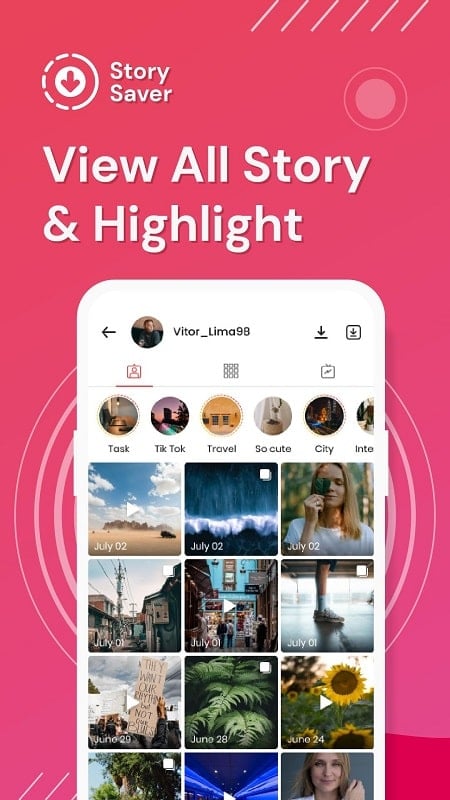 Story Saver 2.5.8 (Unlocked Pro)