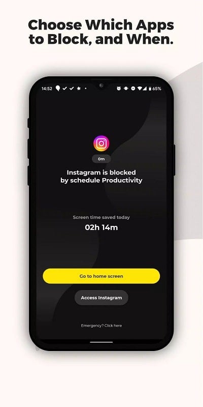 Unpluq 2.3.9 (Unlocked Pro)