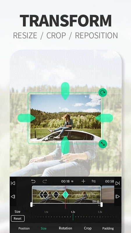 VLLO 12.2.0 (Premium Unlocked)