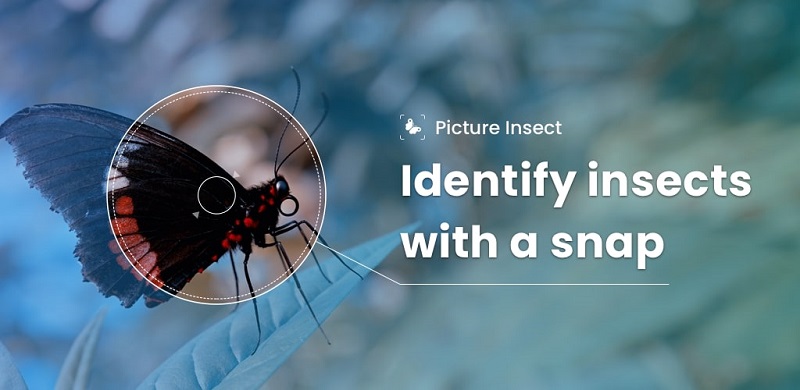 Picture Insect: Bug Identifier 2.8.33 (Unlocked Premium)
