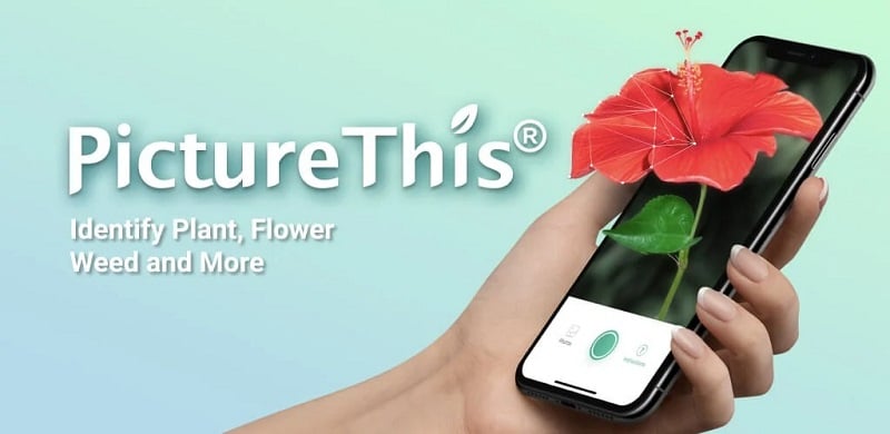 PictureThis 5.1.9 (Unlocked)