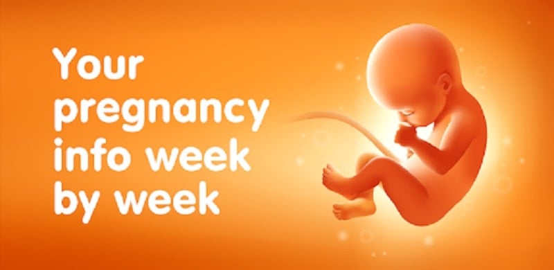 Pregnancy Tracker Week by Week 3.131.3 (Unlocked Premium)