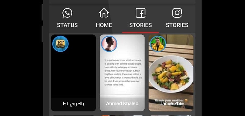 Video Downloader and Stories 9.8.1 (Unlocked Pro)